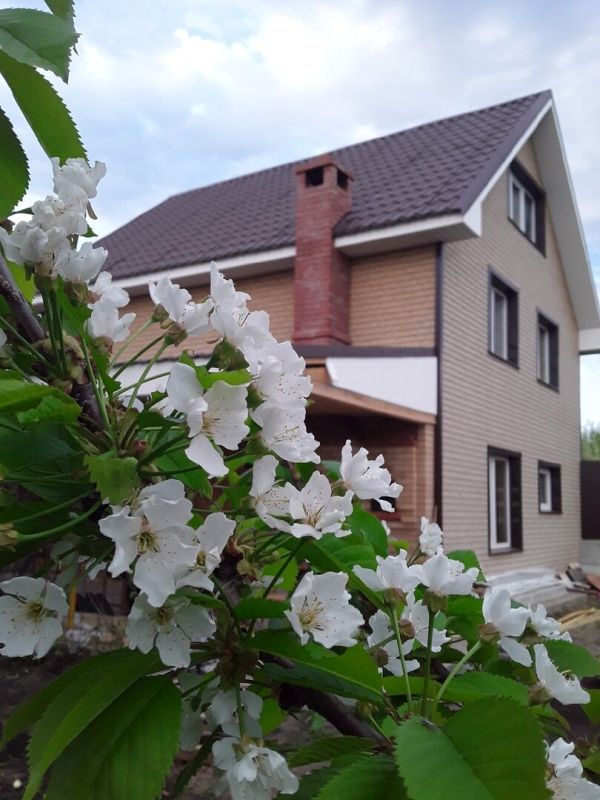 ���� vs ��������: ��� ������� � ��� ��������� ��������� ����