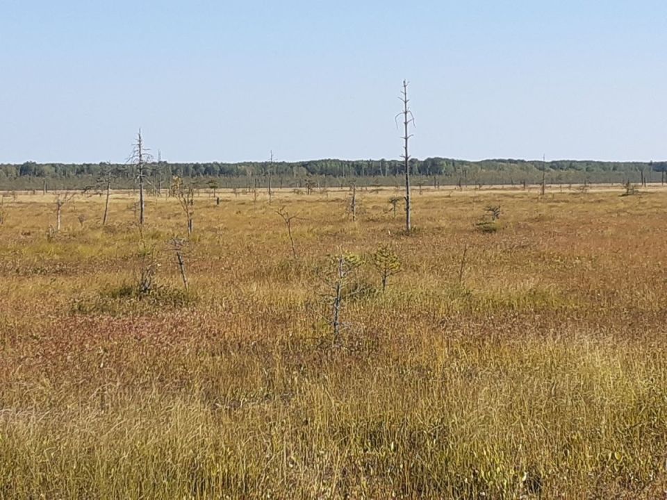 ������ ����������� ������: ��� �������� �������� � ����������� ������