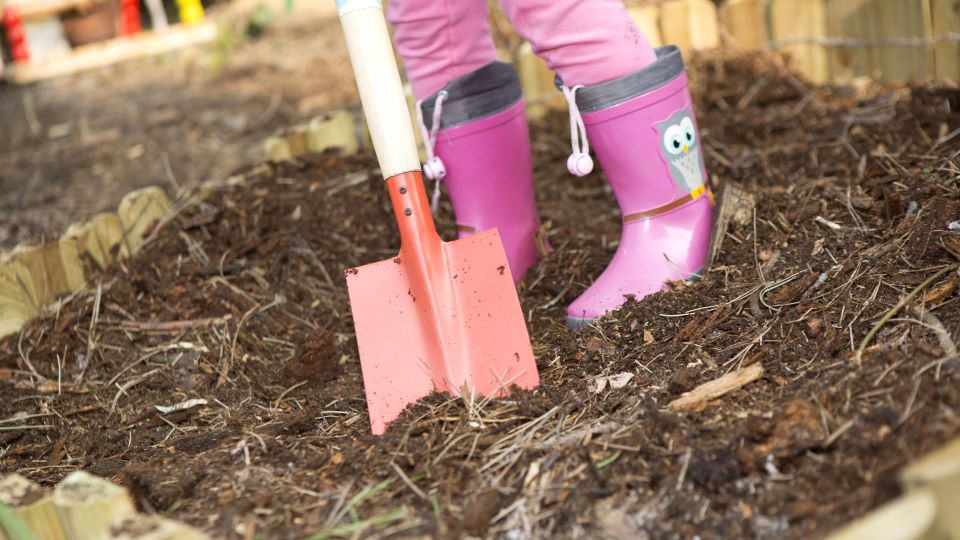 ������� ������� �������� ��� � ����� ������: ������ ��� ������ ��� �� �������