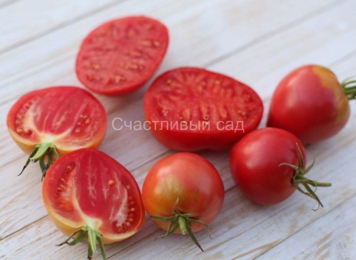 �������� ������: ����� ������ �� ������ ����