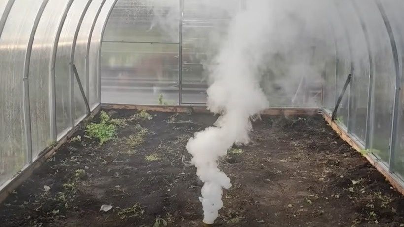 ����� ������ ������ ������� ��������� �������: ������� ����������� ������