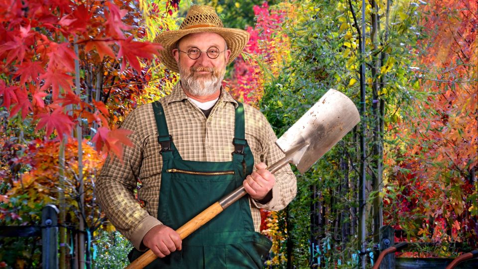 ����� �� �����������: ��� ��� �������� ����� �� ����� ������� ��������