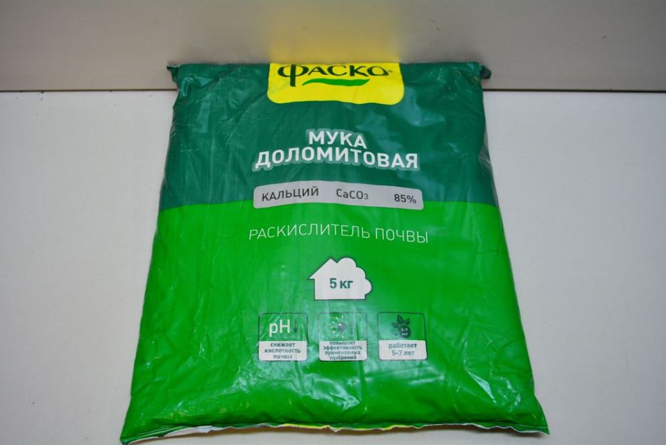 ����������� ����: ������ �������� ����� �����