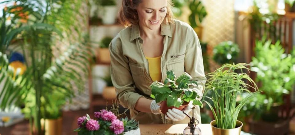 ������������ �������� � ���������� ��������� ��������