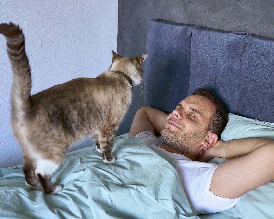 ��� ��������� ������� ������ ���: ���������� ������ � ������������ ��� � �����