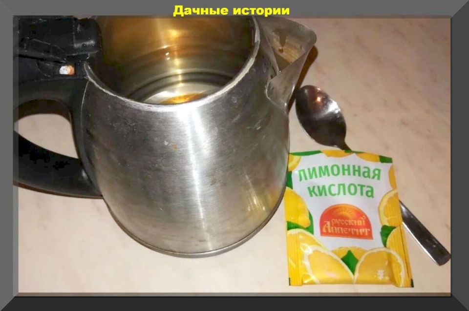 Накипь из чайника как удивительное удобрение для рассады
