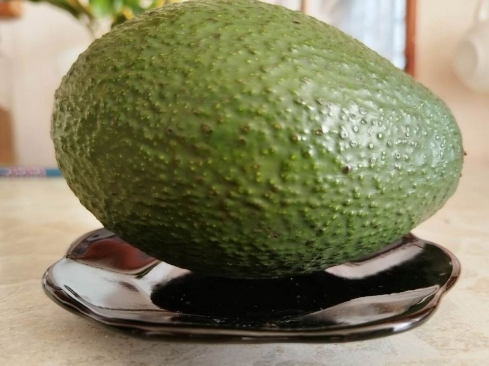 ��� ������� ��������� ������� ��� ��� � �����