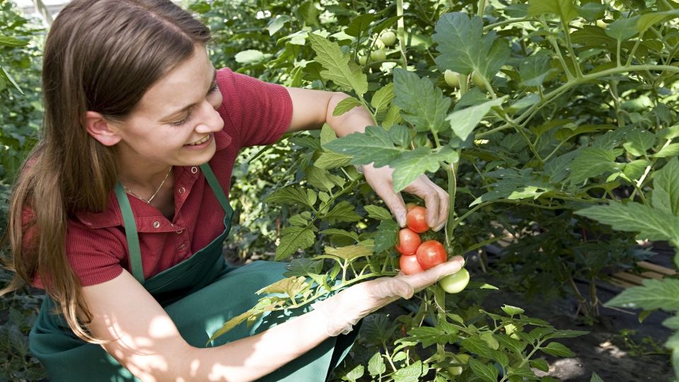 ��������� �������� ����� ������� �� ������: ����� ������������ �� �����