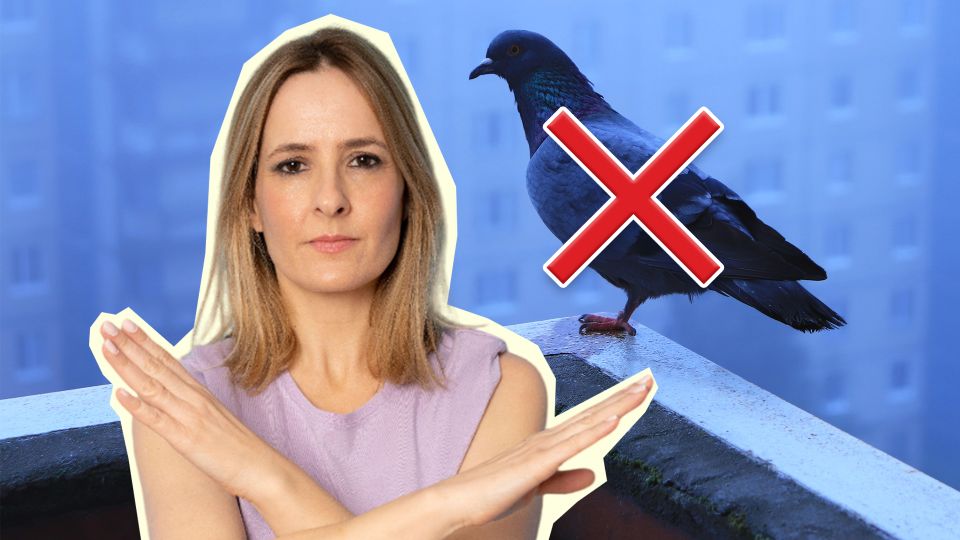 ������ �� ��� ������ ������ �� �������: ��������� ���� ������� ��� ��������� ��������