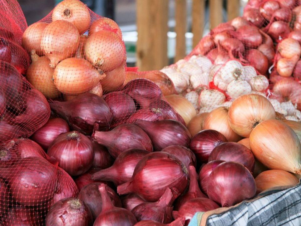 ��� ��������� ��������� �� �������� �����: ��� ������ ������