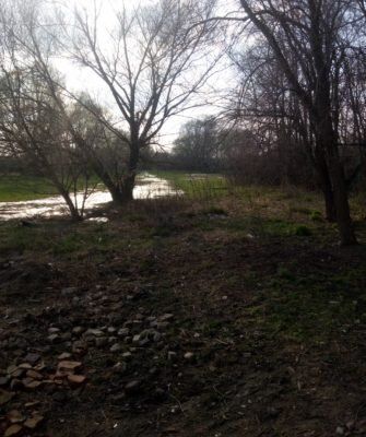 ������� ������ ��� ������: ������� ����� ���� ������������ ������