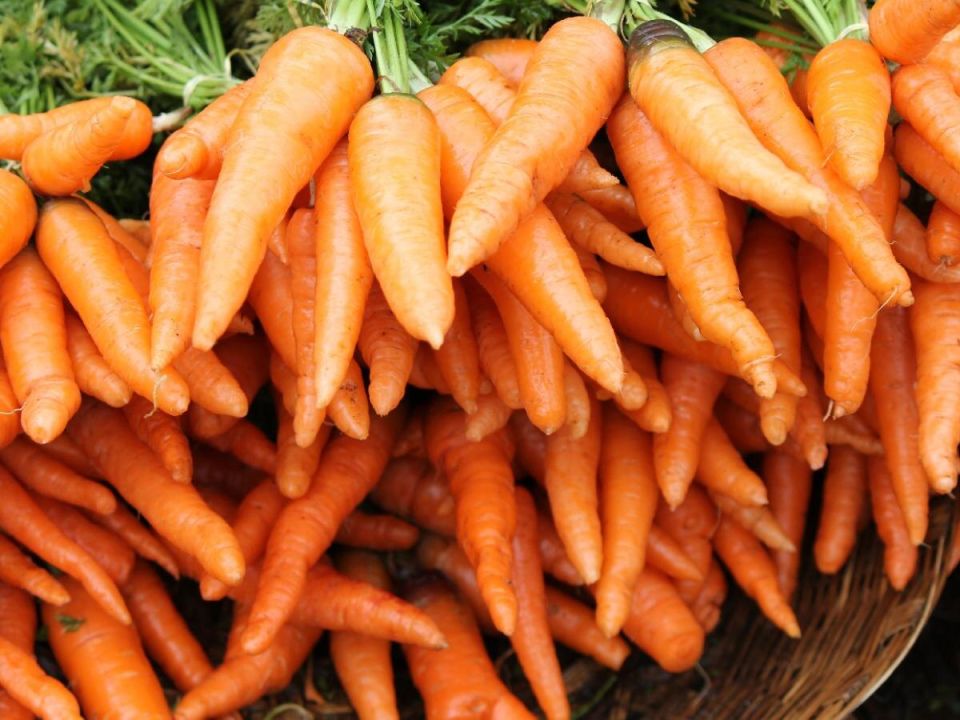 ����: ������ ����� ��� ������ �������, ����� �������� ����������