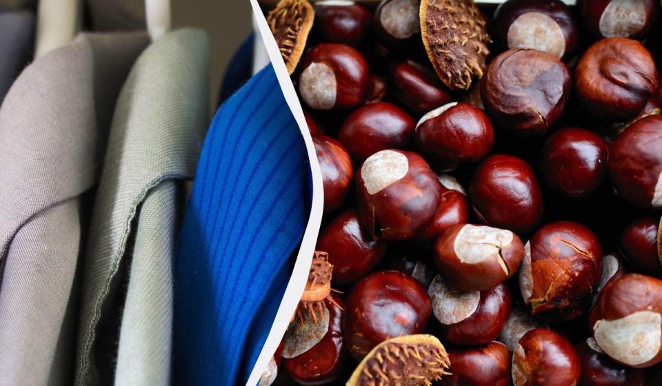 Каштаны в шкафу: как простое средство решает давние проблемы