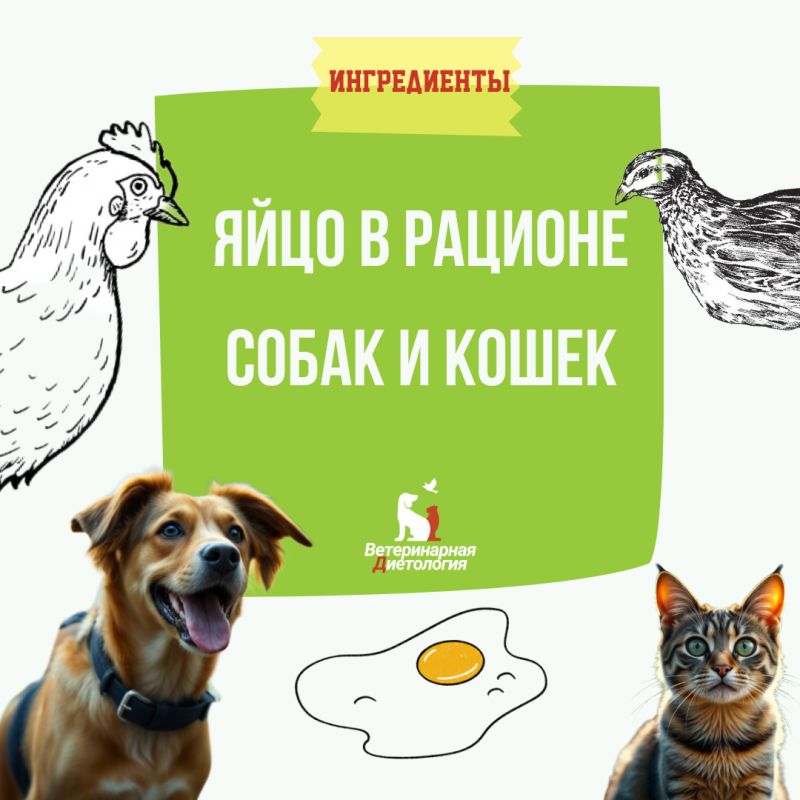 ������ � ����� ��� ��� ������������ ������