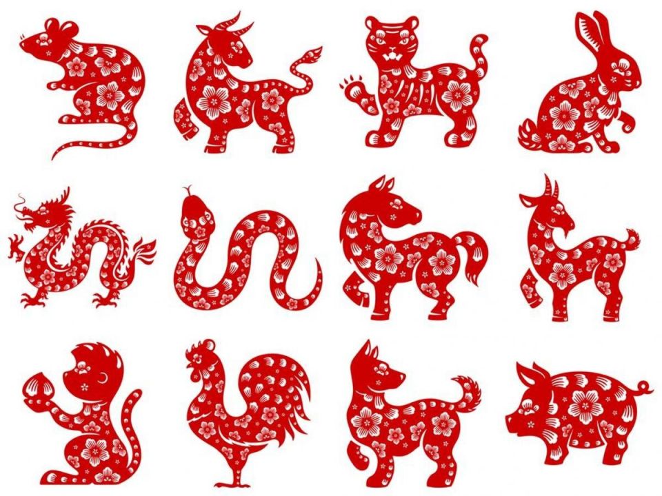 ����� ������ �������, ������� ����� ������ ������ ����� � ��������