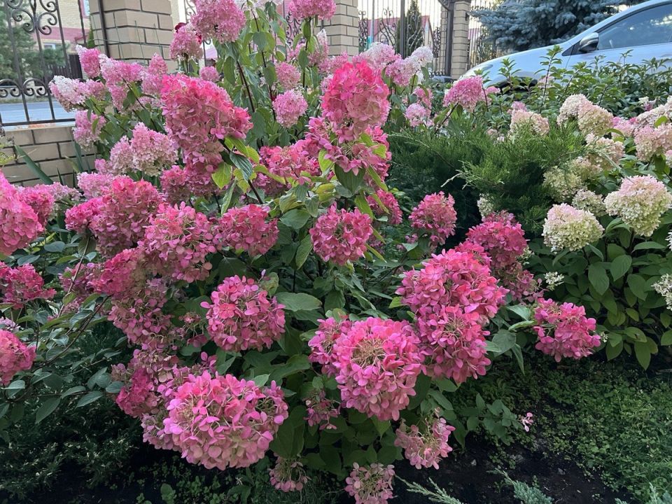 ����� ����� ������� ����������� ��������� ��� ������ ����