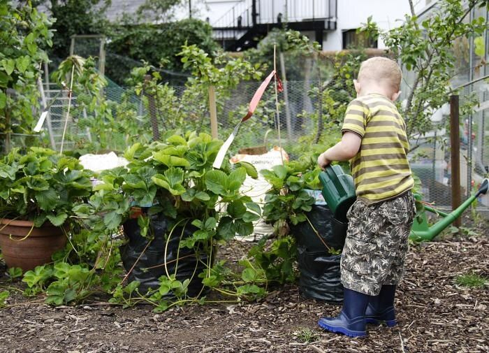 ����������� ��������� �� �����: ������ ��������� ������