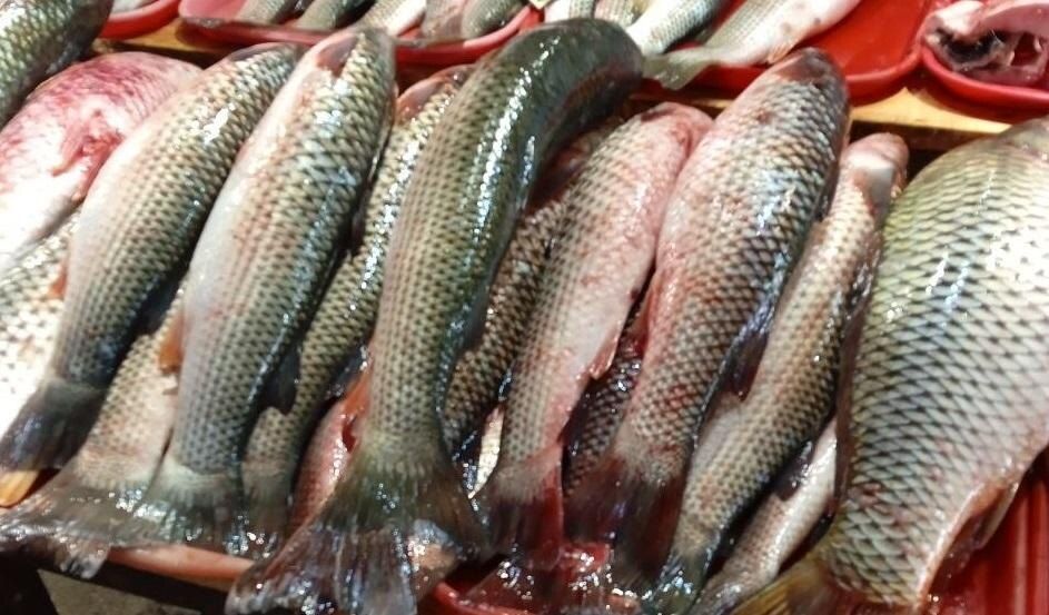 ������ ���������� ����� �������� �������� �� ������ �������������� ������