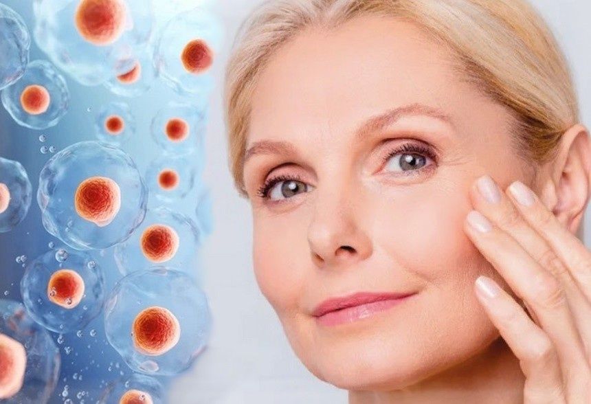 ��� ������� ��������� ������� ���������: ��� ����������� ������