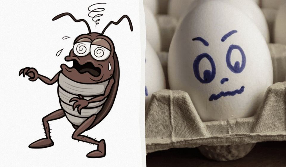 ��� �������� ���� ��� �� ������ ��������� ��������