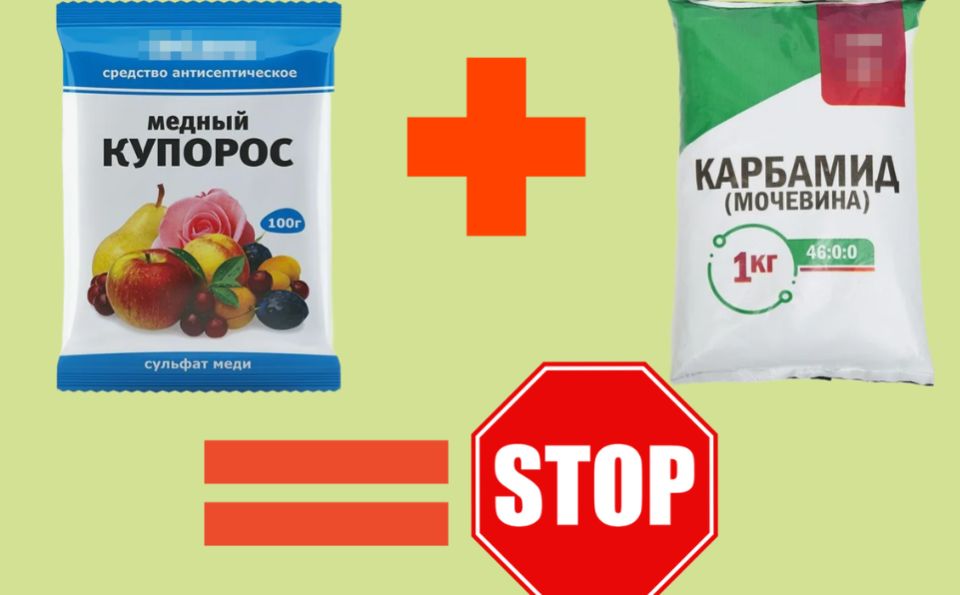 ������� �������� ������������� �������� � �������� � �����������