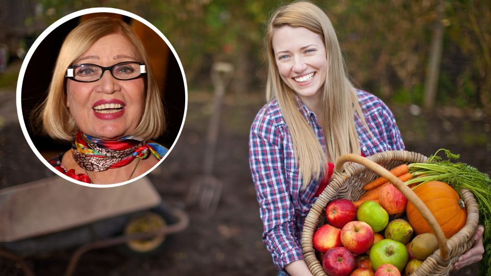 ��������� ������ �� �������, ���� ����� ���� ������: ����� �� ��������� ������� ����������