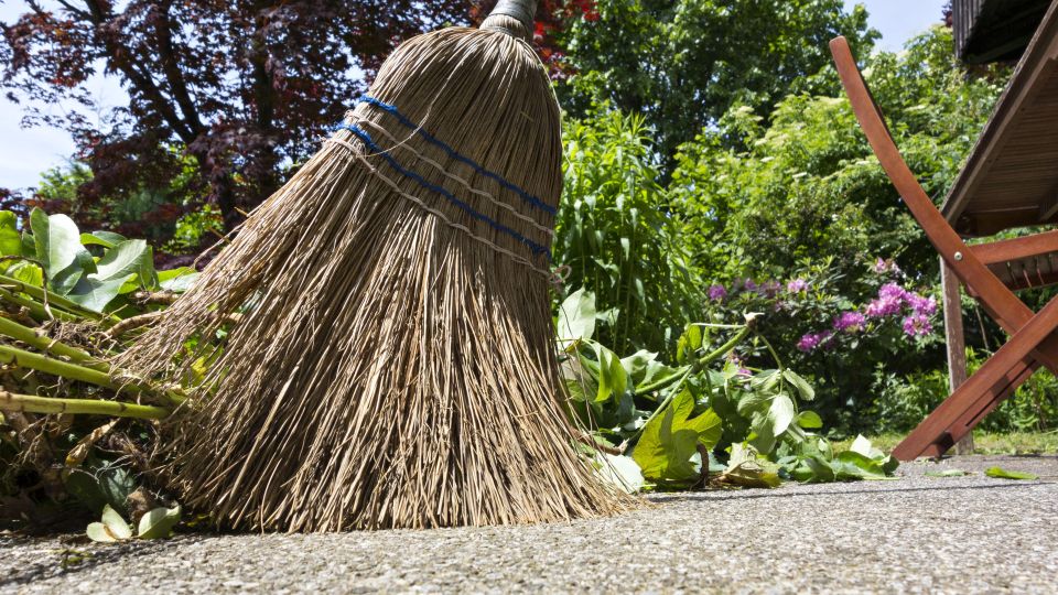 ��������� ������������ ������ �����: ��� ������� �������� ����� �� ������