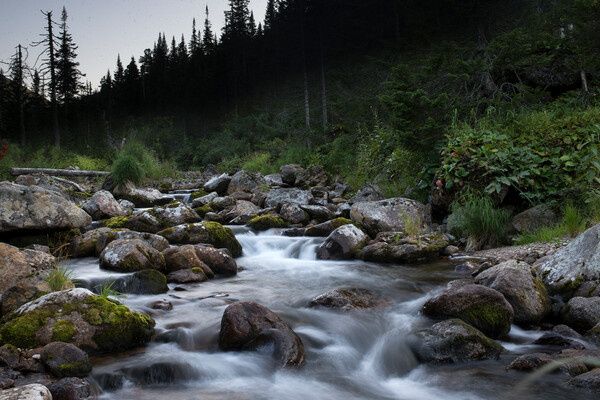 �������� ��������� ������ ������������� � ��������� ������ ������������ ��� �������������