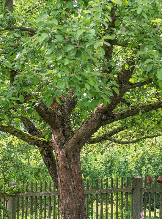 ������ �������� ������ �� ������� ��� ������������