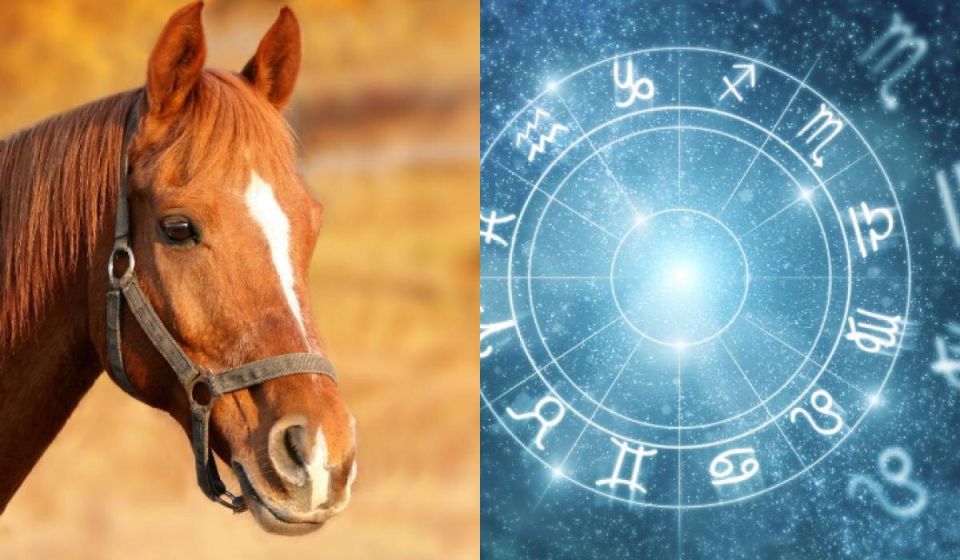 �������������� � ����������: � ���, ��� ����� ������� ����������� �� ����� ������