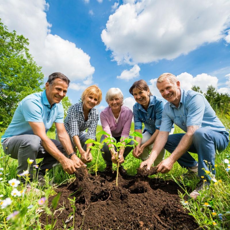 ��� ��������� ���������� ������� ������: ������� ��������� ����������