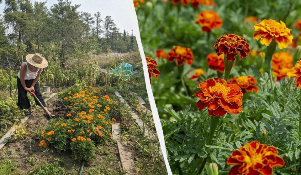 ��� ������� �������� �� ����: 4 ������ ������� �������� �� � �������