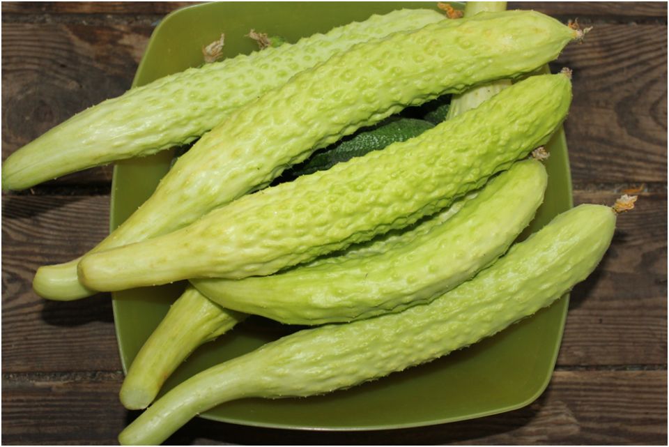 ����� ������ 