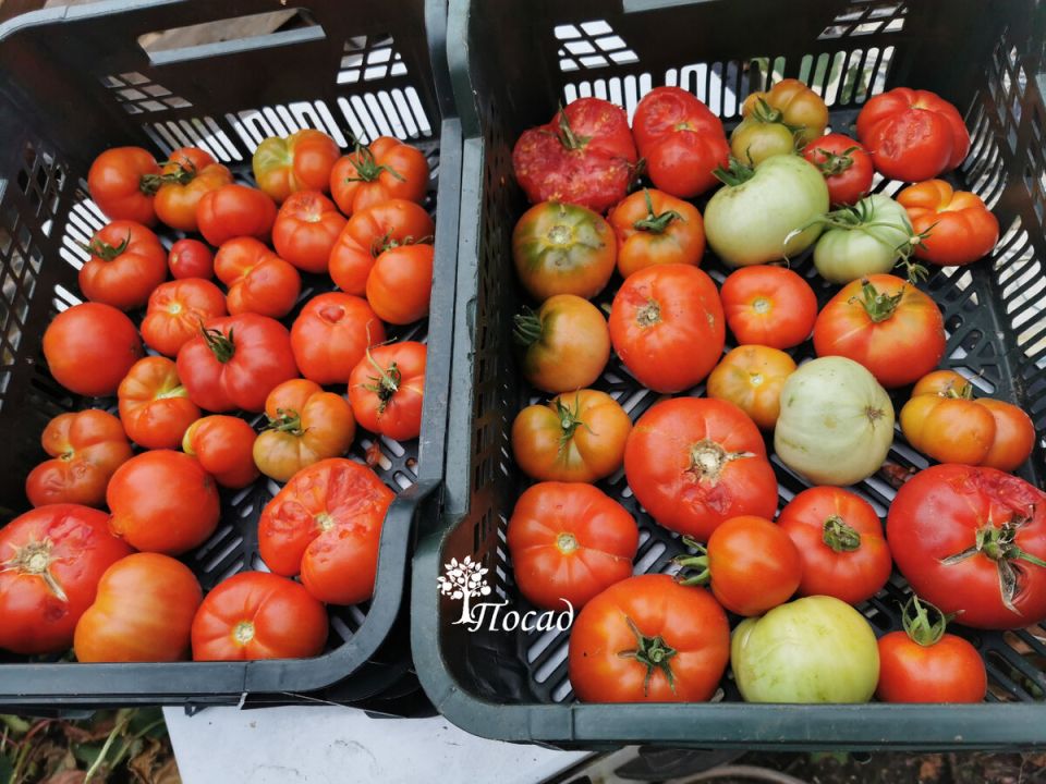 ��� �������-���� ���������� ������ ��������� �� ���� ����