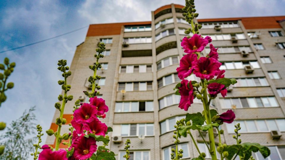 Активированный уголь: простые и гениальные лайфхаки для дома