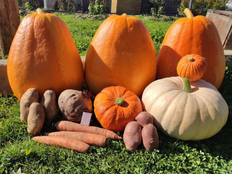 ��������: ������������� �� ��� ������� � ��������?