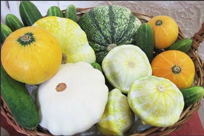 Разбираемся с проблемами тыквенных культур: советы эксперта