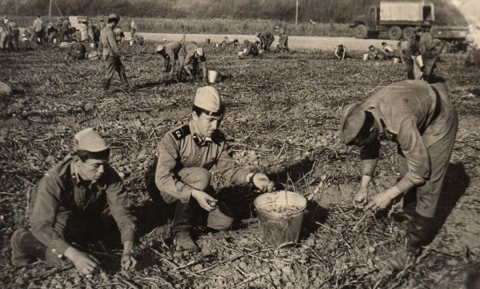 ��� ������� ������� �������� � ��������� �����