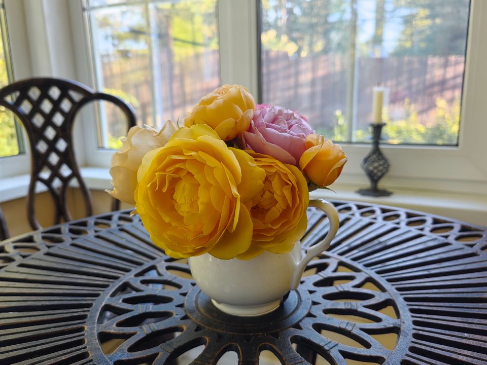 ���� � ����: ��� ����� ������ ������� � ���� ������