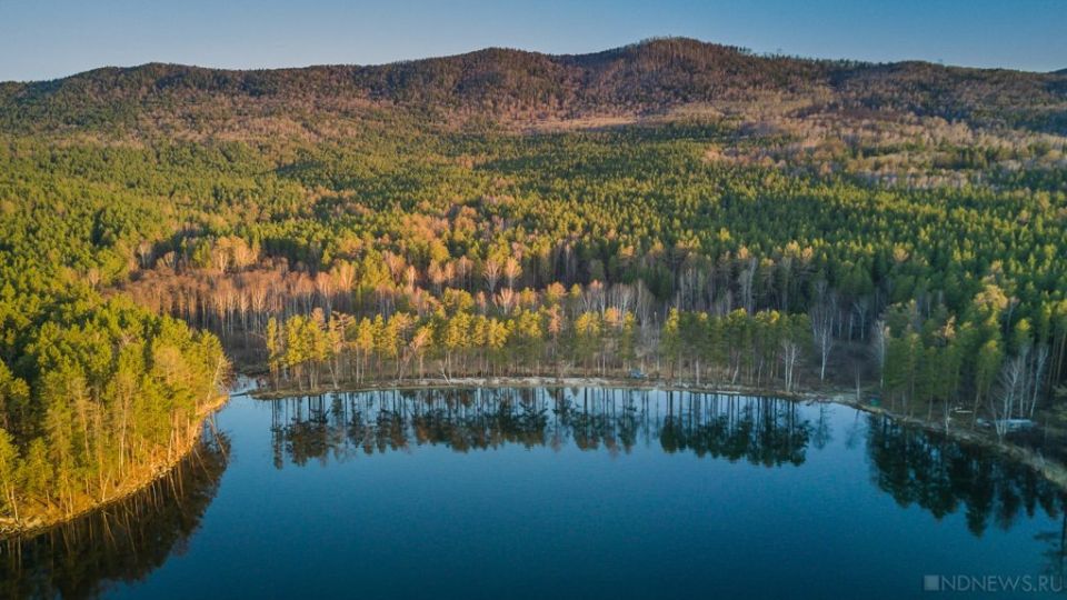 ������� ��������: ����� ������������ �� ���� ��� scrutiny