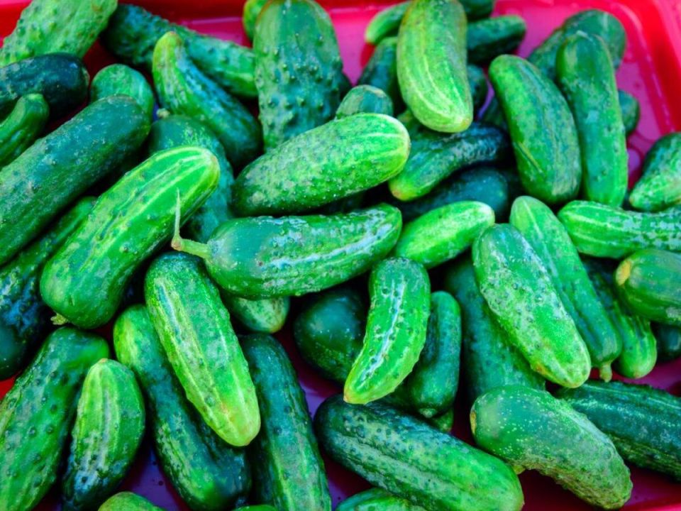 ��� ������� ������ ������� ��� ������ ������� �� ��������