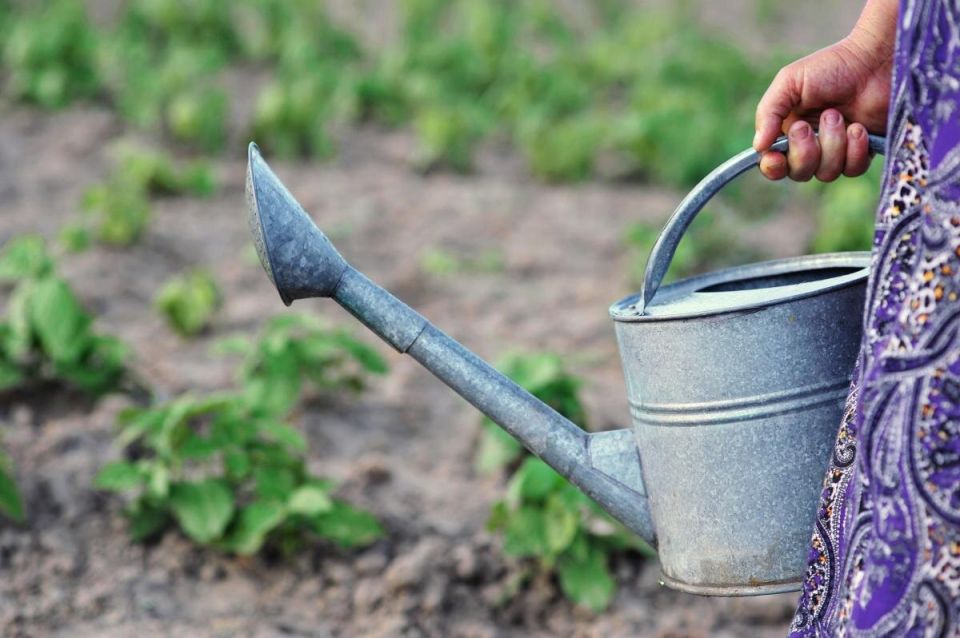 ������ ��� ��������: ������ ��������� �������� ������