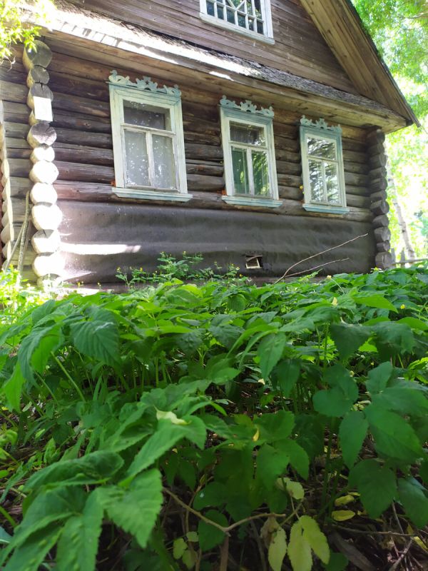 �� ��������� �� ������